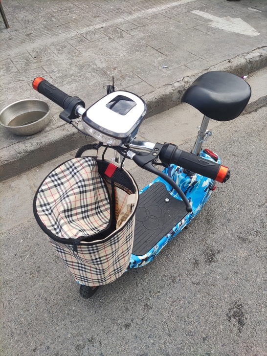 电动车