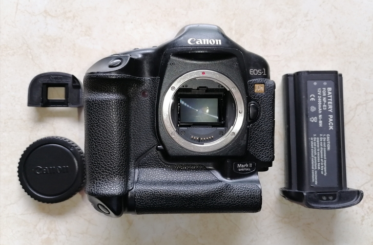 佳能1DS2机身，大兔子机皇，顺丰包邮。