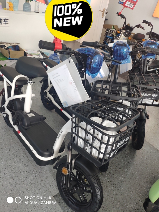 全新哈啰棒途H16原厂电池，支付宝战略投资...