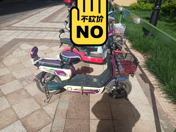 处理小电车一辆，20大电池，电池在保春天换...