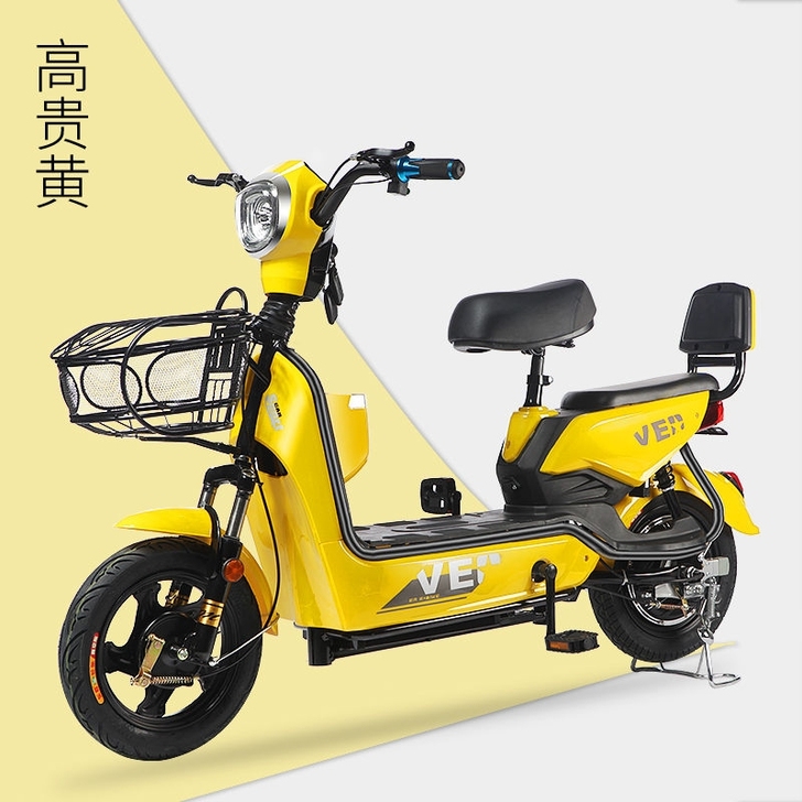思帝诺新国标48V新款电动车电动自行车小型...
