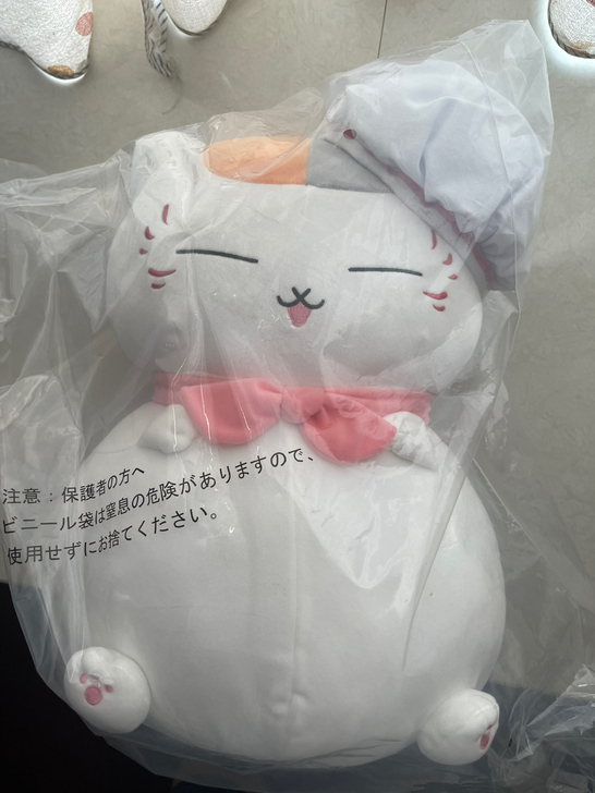 猫老师a赏毛绒玩具，现货直发，手感好，收到...