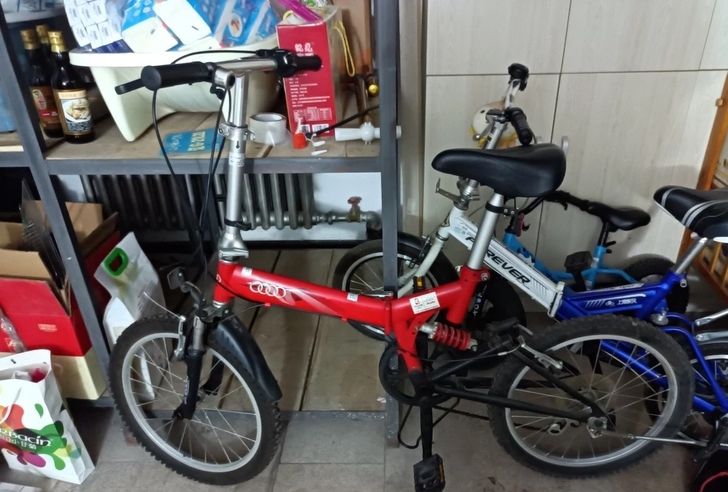奥迪折叠变速自行车,没怎么骑过,轮胎纹几乎...