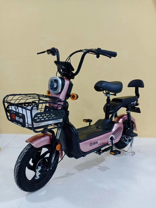 国标可上牌 高配 48伏12安   佛山市...