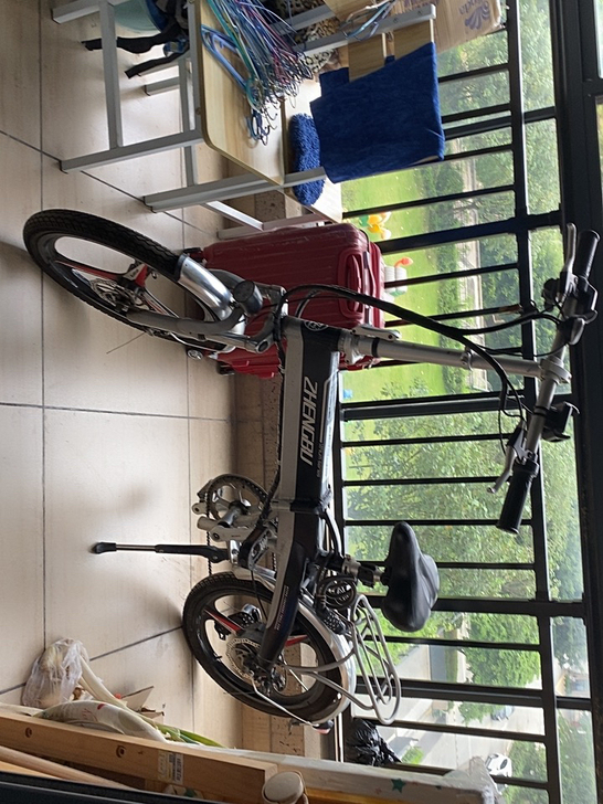 正步（ZB） 电动车自行车折八成新，折叠电...