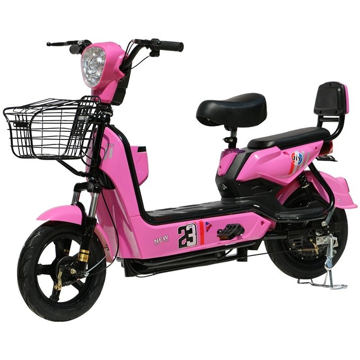 丽客莱 电动自行车48v20a电池