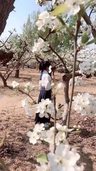 中国风改良汉服，交领襦裙，民族舞蹈套装，s...