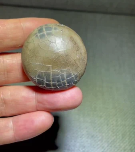 爆老龟背石，重59克，长宽3.6-3.8c...