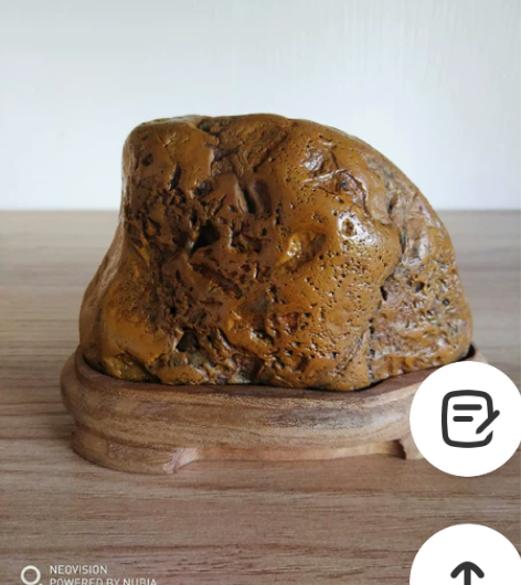 买一送一，福建九龙江黄蜡石原石，配老秋木随...