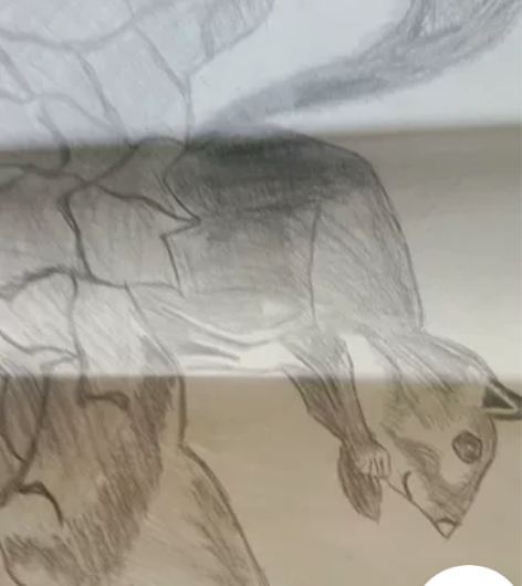 抽象素描 感兴趣的话点“我想要”和我私聊吧～