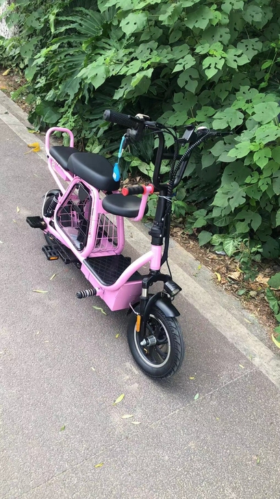 全新亲子电动车，48v，新车，买来用不上。...