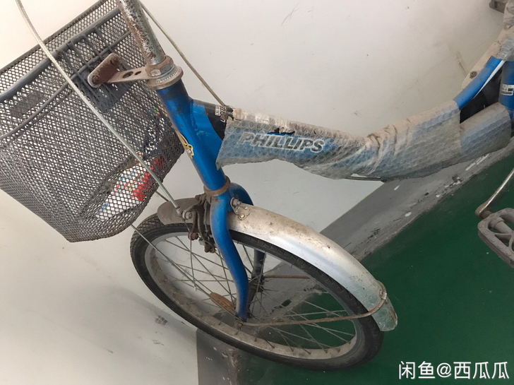 菲利普自行车 50 同城自提