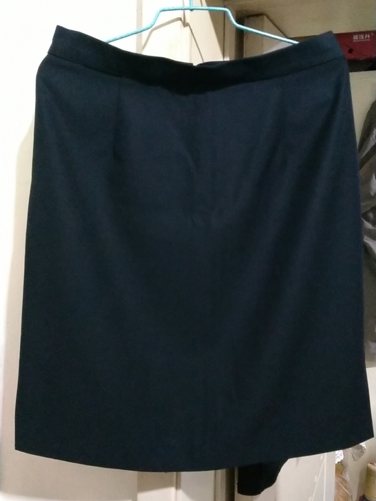 几乎全新，职业一步裙，L码，面料微厚，下沉...
