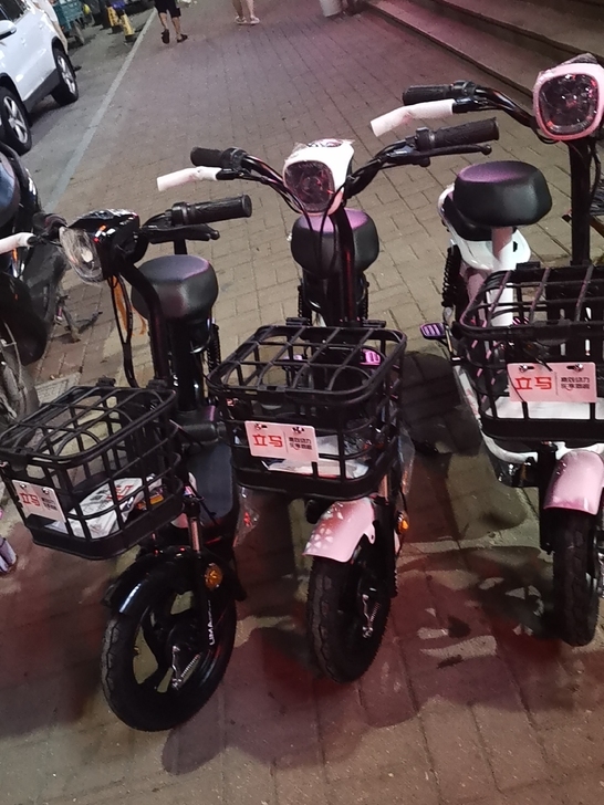 立马全新电动车，48/12电瓶，一口价，非...