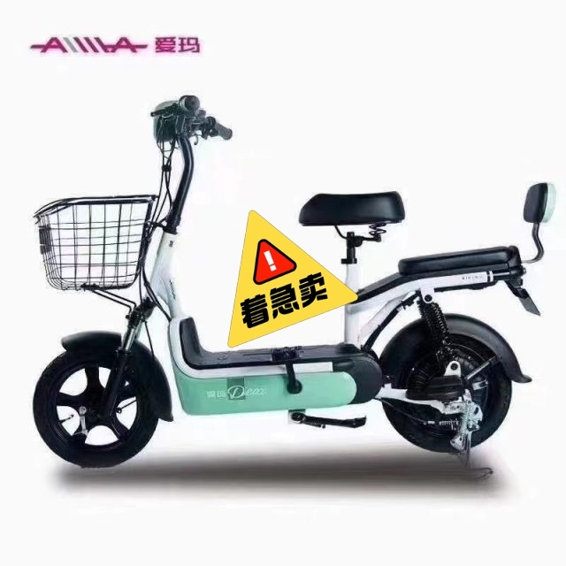 爱玛48V12V全新