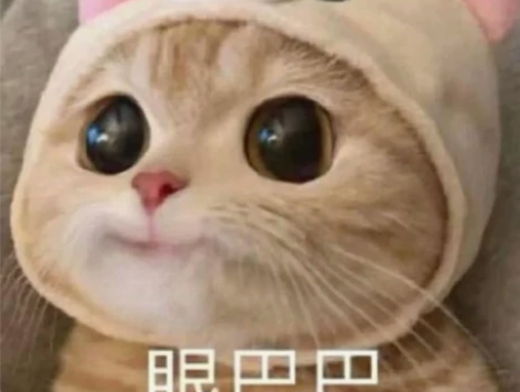 代码代写，跑程序，主c语言/c++/Jav...