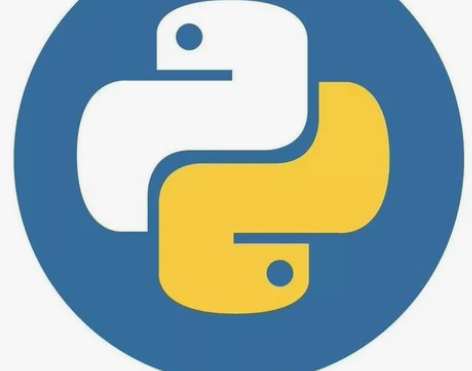 留学生python， r， sql 基础辅...