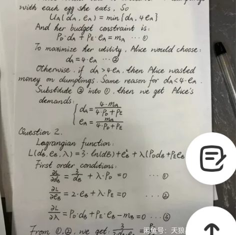 留学生辅导学习答疑，英文答疑金融/经济/数...