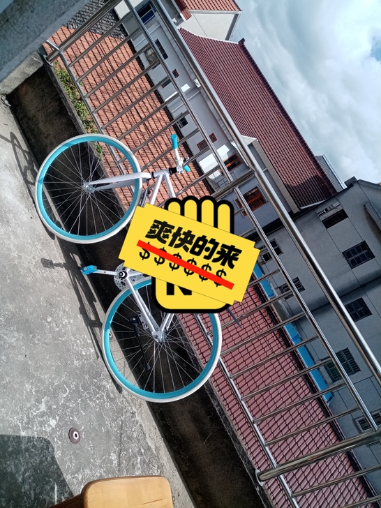 新车死飞刚买一个月不到，260买的，现在不...