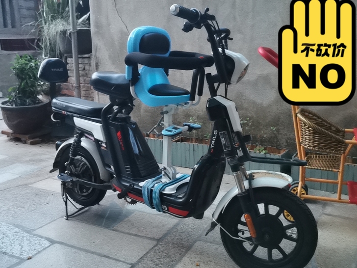台铃电动车，合格证各种证都在，平常接送孩子...