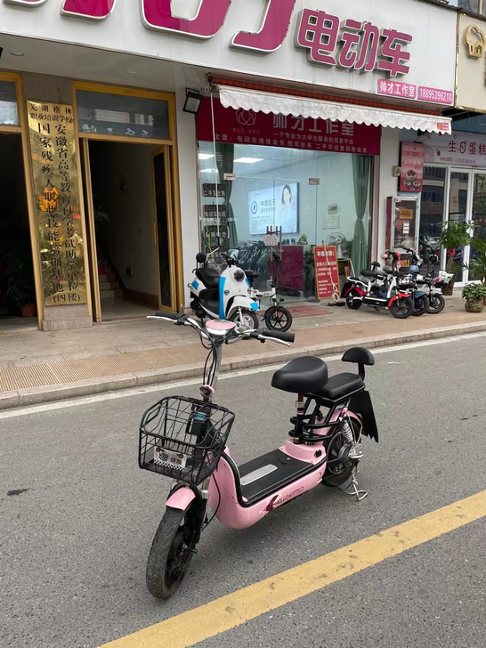 二手电瓶车（标价为单月租车价）