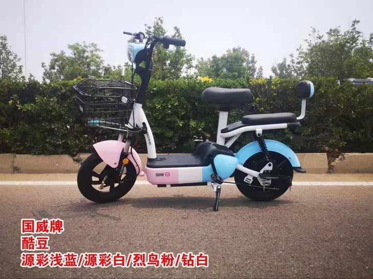 国威简易款电动车,前后真空轮胎,