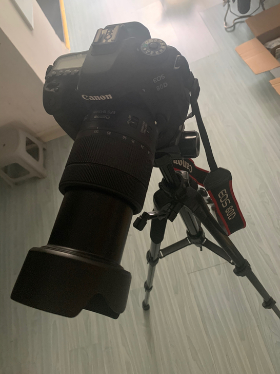 单反相机80D出租，全自动模式拍照，小白也...