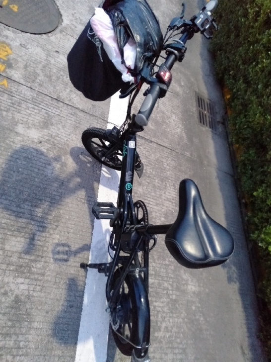 锂电池电动车  品牌 飞道电动车  折叠电...