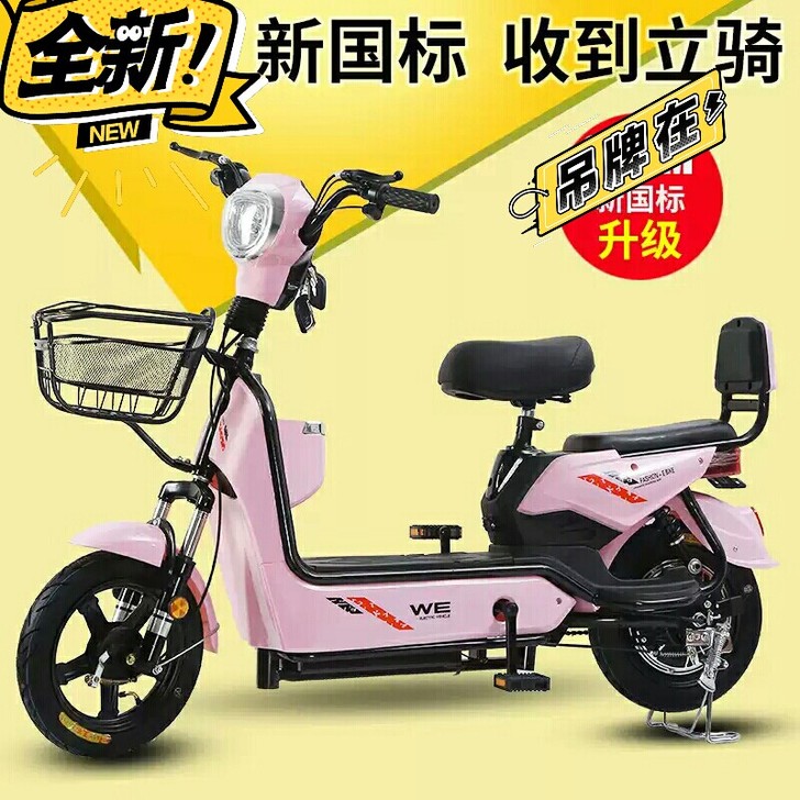 全新国标电动车出售，车架，配全新品牌天能电...