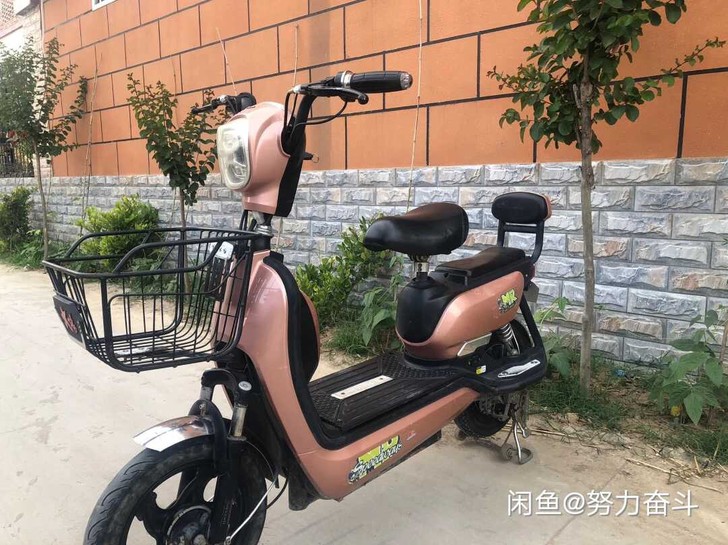 处理小电车 价格600一个 续航二三十公里...