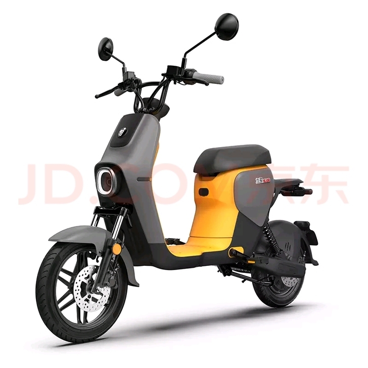 地表最强国标车九号b110p，灰黄配色。4...