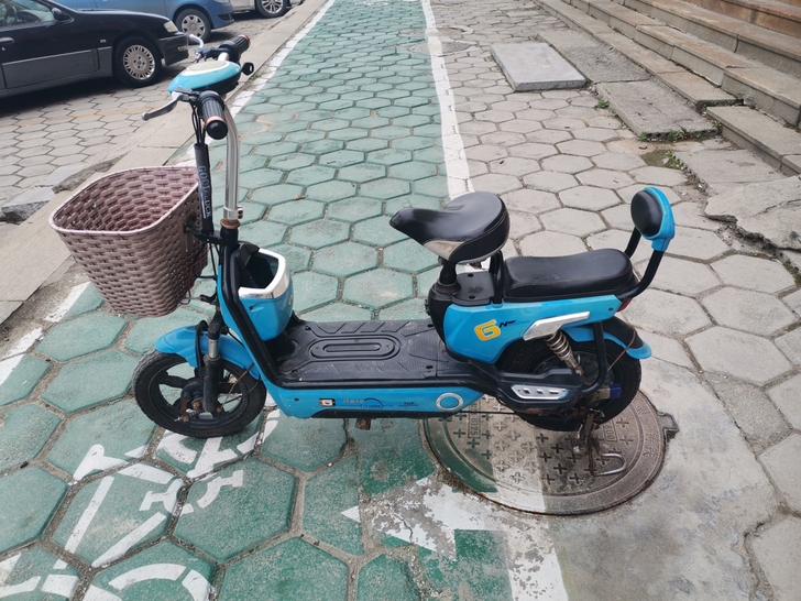 飞鸽电动车，成色如图，八成新，电池很给力，...