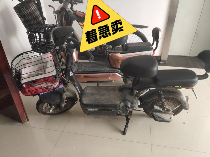 顺飞鸟，48v。满电40公里。总骑行半年。...