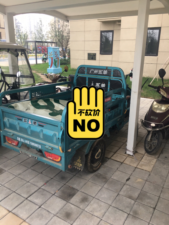正品五羊品牌 基本闲在家没怎么用 电瓶好好...