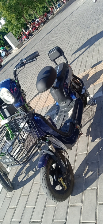 标价就是实价，详情来金川区青少宫对面赛鸽电...