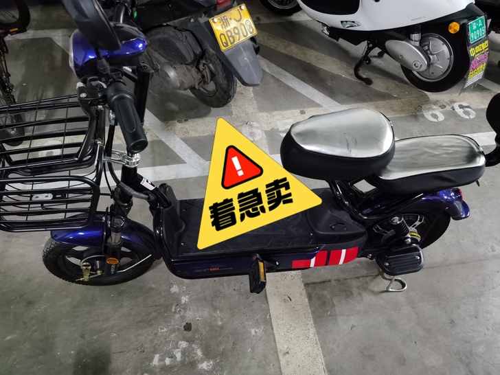 48V/倍特/二手电动车/出租/出售/置换