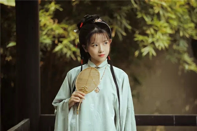 兰若庭 汉服 太平有象 长袄 立领