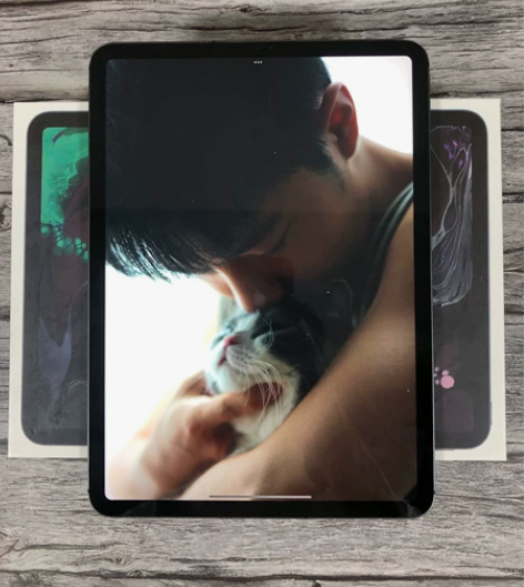 iPad Air4代 (2020款) ...