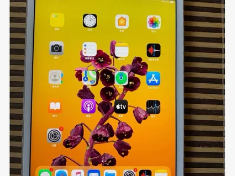 ipadmini4考研网课游戏追剧 ipa...