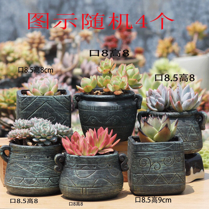 新款红陶多肉花盆随机4个包邮！随机4个花盆...