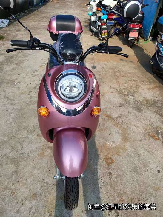全新龟王9代，配60v20天能电池，前后真...