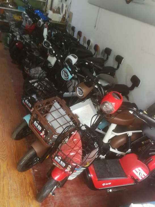 台铃电动车48##amp；mdash；12