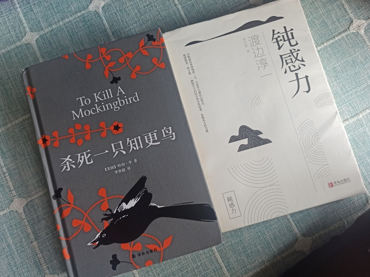 书籍-杀死一只知更鸟。个人看完的闲置书籍 ...