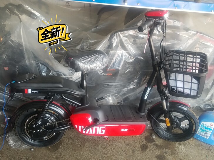 全新五羊电动车，48_12电池，特价138...