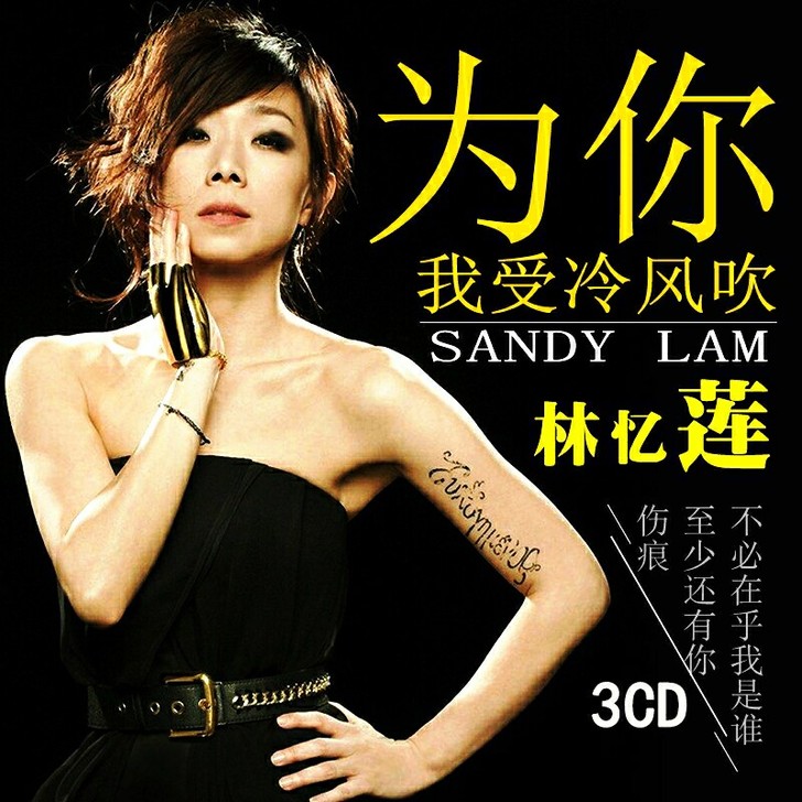 林忆莲cd正版专辑无损黑胶唱片汽车载CD碟...