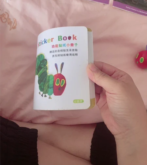 应该是二代毛毛虫点读笔 只有数据线，笔和一...