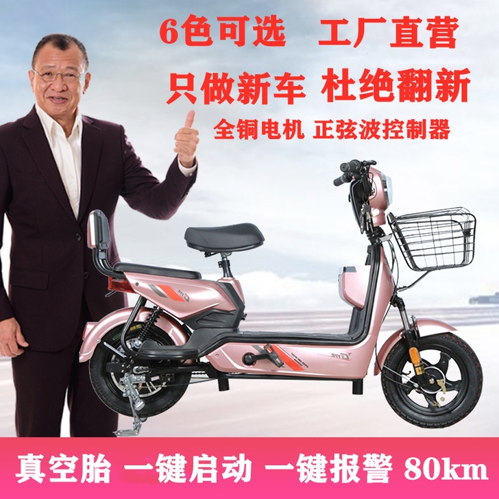 电动车48v成人电瓶车电动自行车两轮厂家雅...