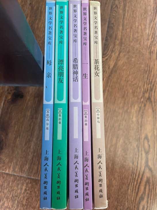 五本世界文学名著包邮30