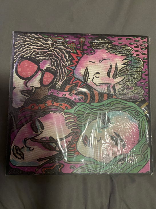 霓虹花园 签名专辑 长沙现场亲签  看缘分...