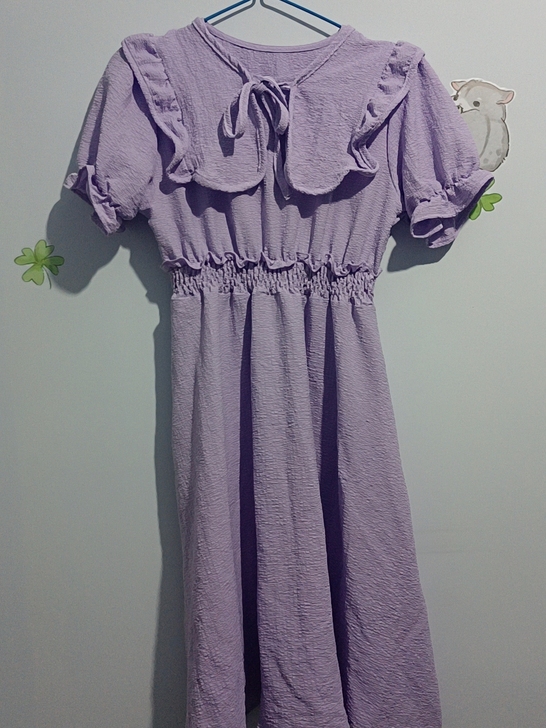 荷花边收腰连衣裙两件套 衣服